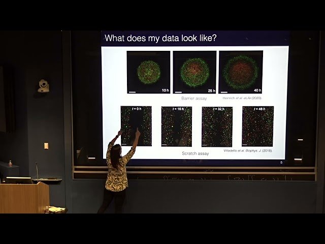 What Is Parameter Identifiability, Why Do We Need Identifiable Models, and What Can Identifiable Models Tell Us About Regulation of the Cell Cycle?