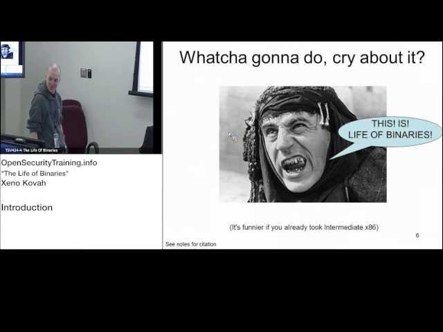 The Life of Binaries - PE and ELF File Format Analysis 2013