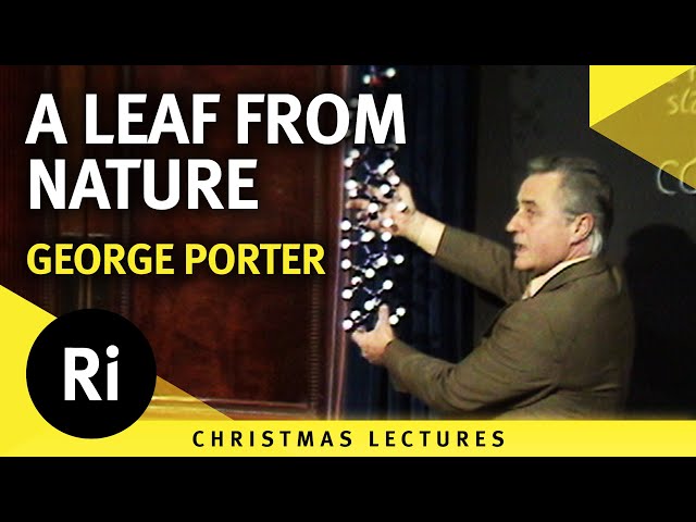 A Leaf from Nature - How Leaves Process Light for Food - Lecture 3