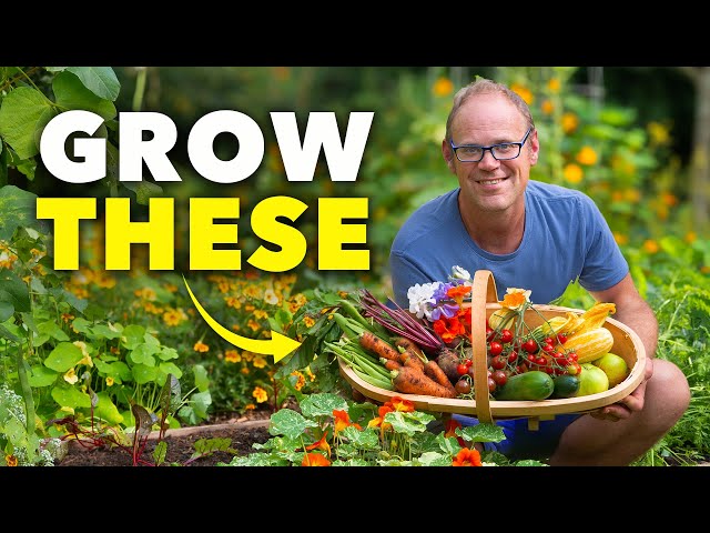 The Lazy Gardener's Best Vegetables to Grow in 2026
