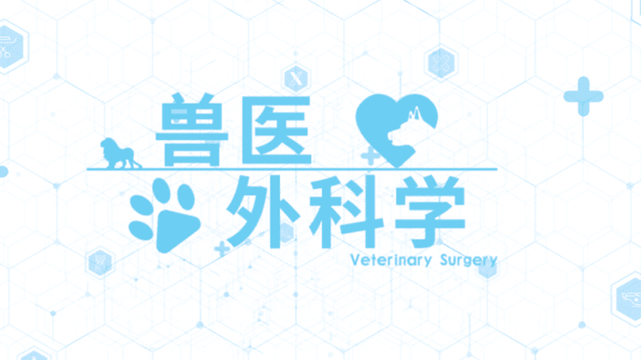 兽医外科学