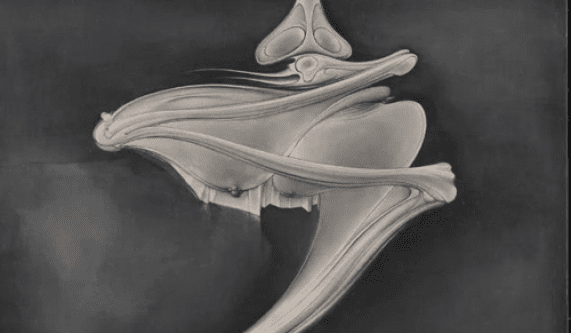 Sado-Masochism: Economies of Desire and Recognition (Live Online)