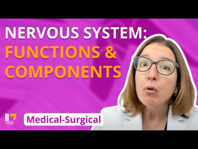 Medical-Surgical Nursing - Nervous System