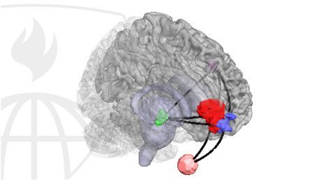 Statistical Analysis of fMRI Data