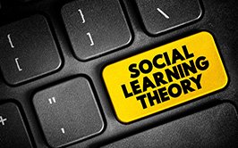 Social Theory: Concepts and Debates