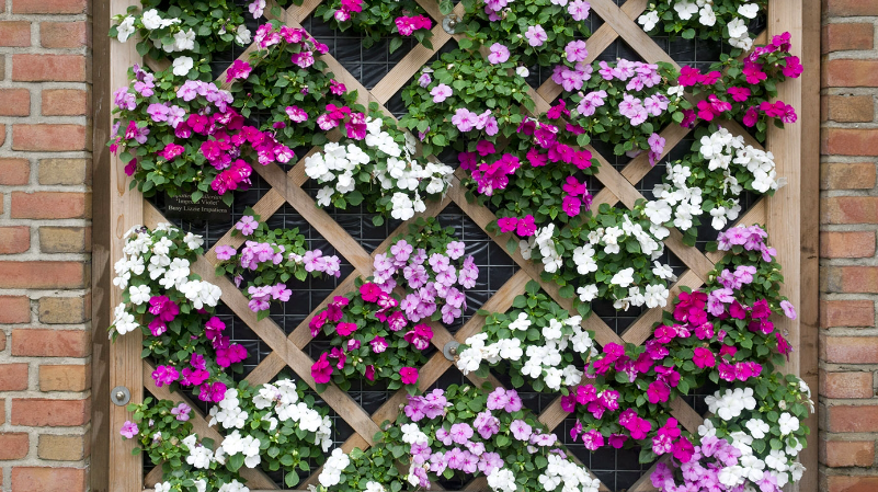 100 Horticulture Online Courses For 2025 Explore Free Courses 100 Horticulture Online Courses For 2025 Explore Free Courses