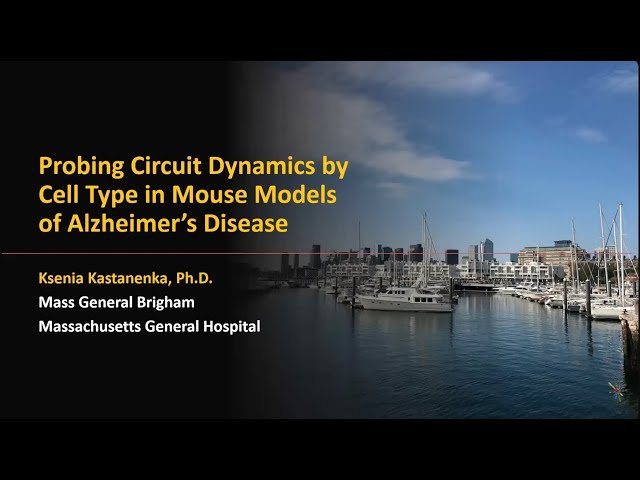 Probing Circuit Dynamics by Cell Type in Mouse Models of Alzheimer's Disease