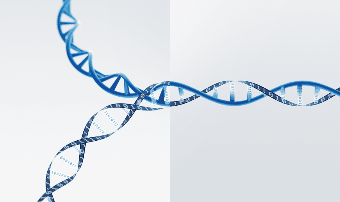 Marketing Technology