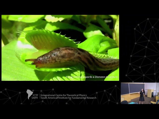 4D Printing and Biomimetics - Key Concepts and Applications