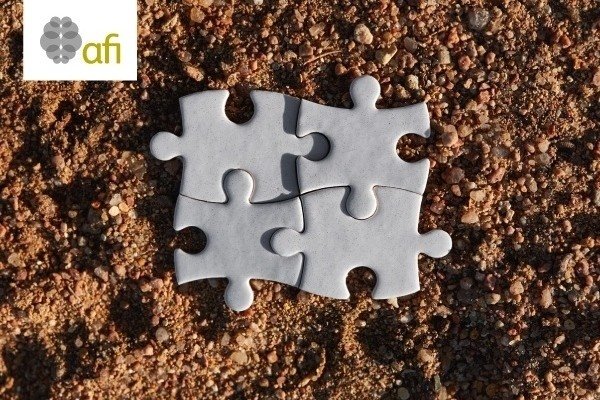 AFI National Financial Inclusion Strategies (NFIS) Policy Model