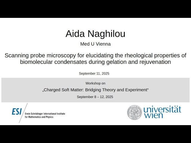 Scanning Probe Microscopy for Elucidating the Rheological Properties of Biomolecular Condensates