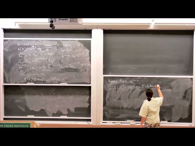Topology and Combinatorics - Uncovering Structures of Vietoris-Rips Complexes