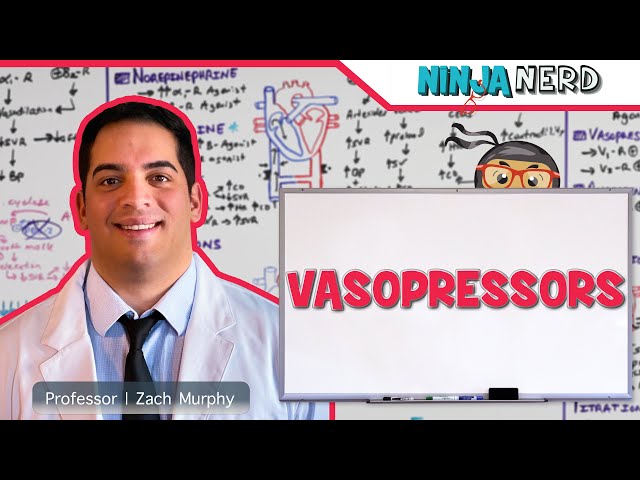 Vasopressors - Inodilators, Inopressors, Pure Vasopressors, Methylene Blue, Midodrine