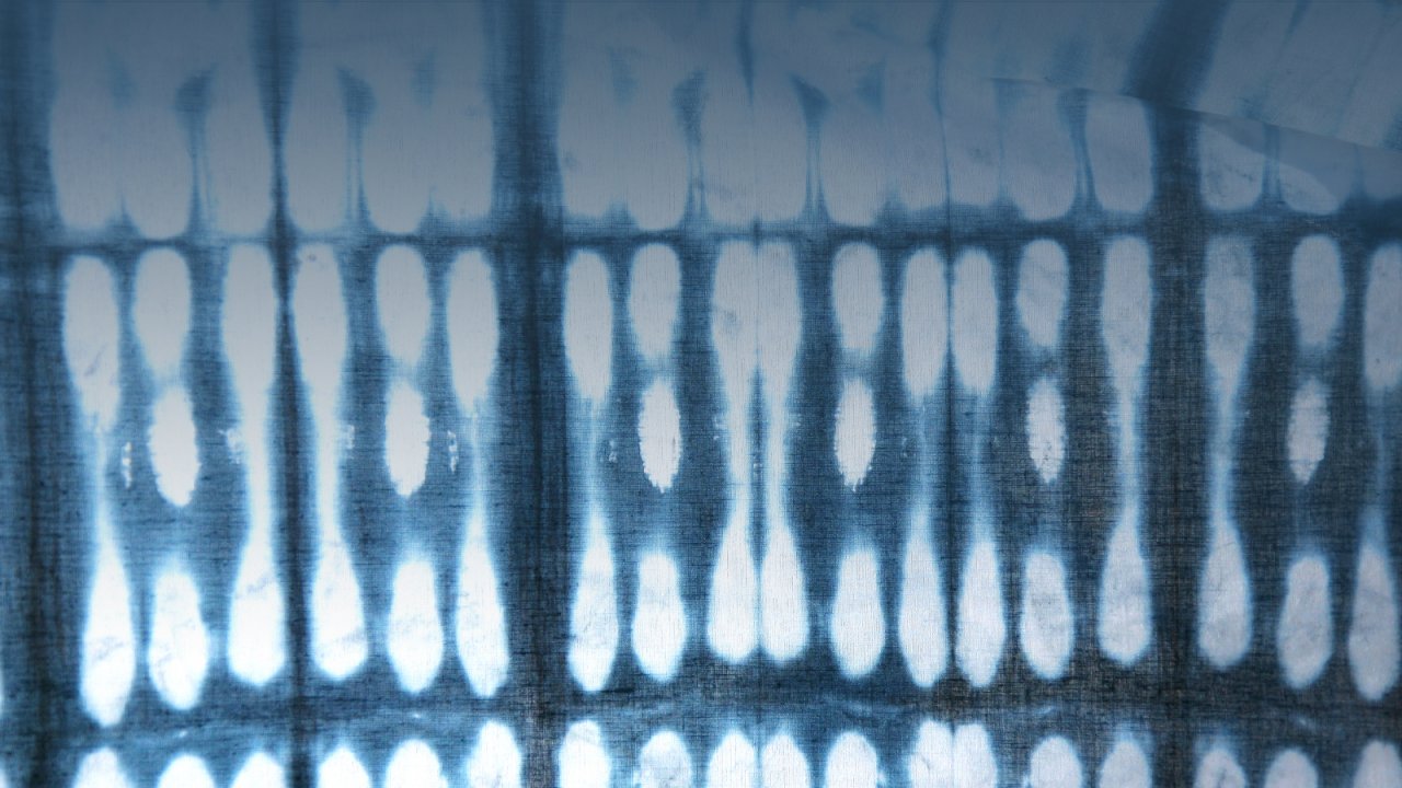 Introduction to Shibori Indigo Dyeing