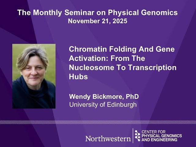 Chromatin Folding and Gene Activation - From the Nucleosome to Transcription Hubs