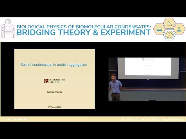 Role of Condensates in Protein Aggregation