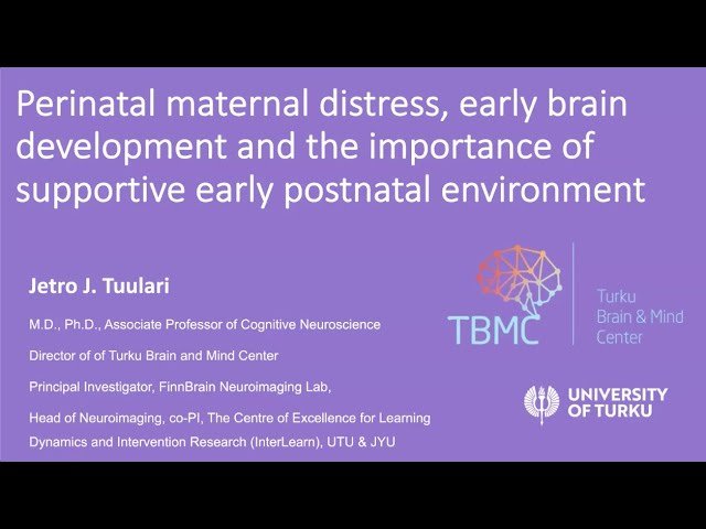 BrainMap - Perinatal Maternal Distress, Early Brain Development, Importance of Postnatal Environment