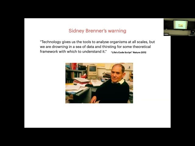 Thinking About High-Dimensional Biological Data in the Age of AI