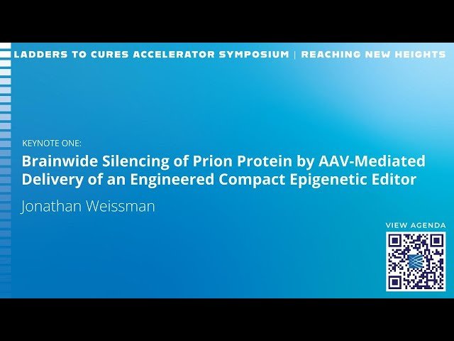 Brainwide Silencing of Prion Protein by AAV-Mediated Delivery of an Engineered Compact Epigenetic Editor