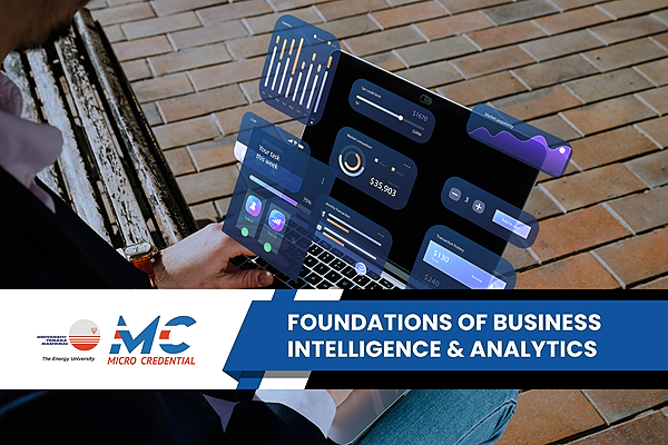 Foundations of Business Intelligence & Analytics​