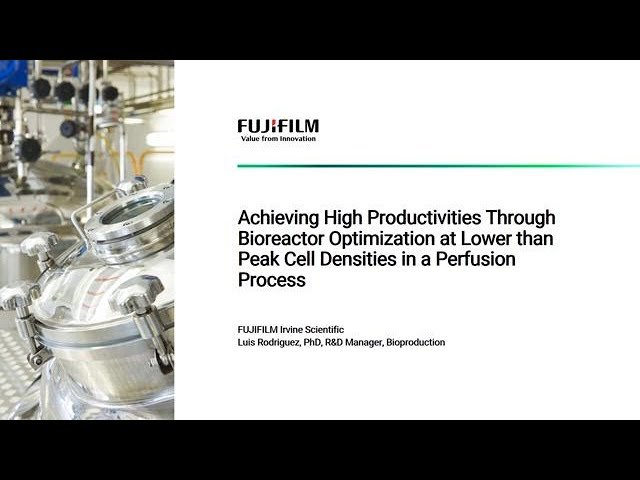 Achieving High Productivities through Bioreactor Optimization at Lower than Peak Cell Densities in a Perfusion Process