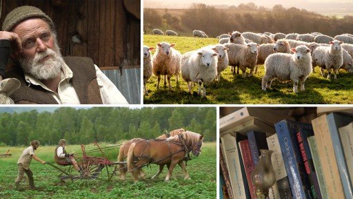 Essential Skills in Adobe Premiere Pro 2025 Professional Certificate