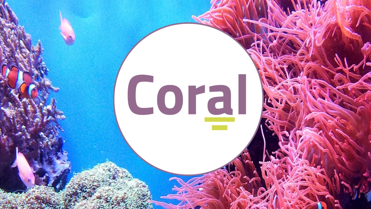 Las competencias orales y el aprendizaje de lenguas en el S.XXI (CORAL) (4ed. 2026)