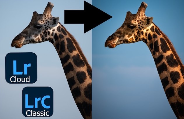 Advanced Lightroom Editing: Beyond the Basics (Live Online)