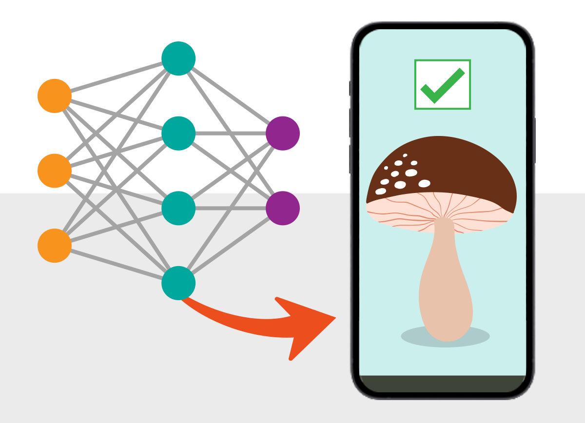 Deploying and Running a Custom Neural Net on Your Phone - Wolfram U Class