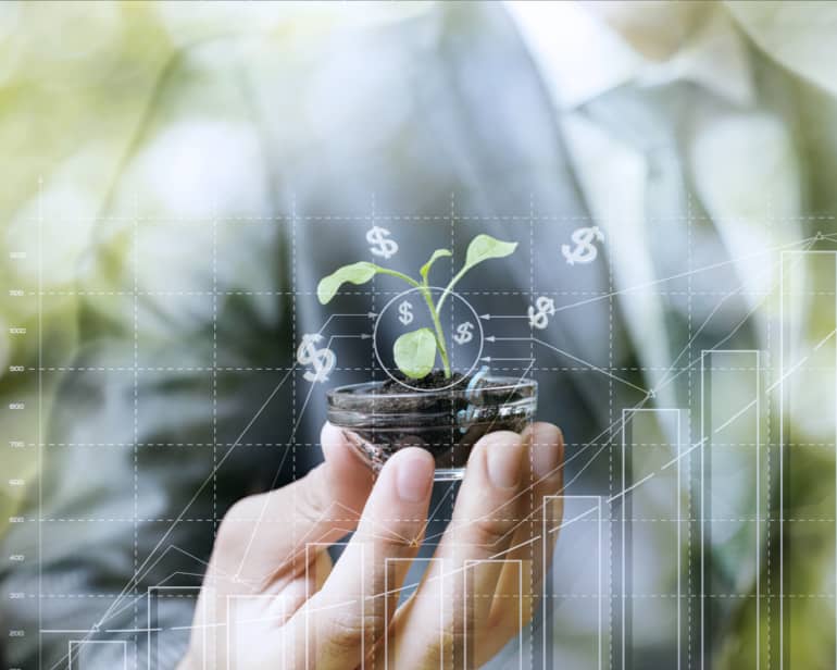 Business Sustainability Strategy: Technology and Management