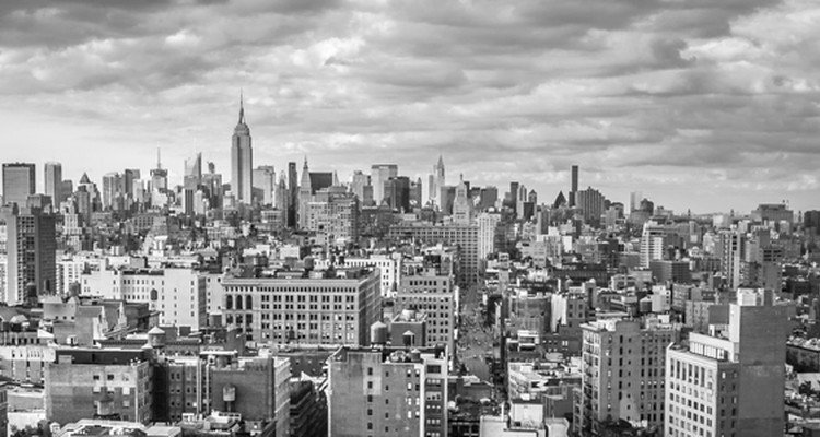 Introduction to Lightroom (Live Online)