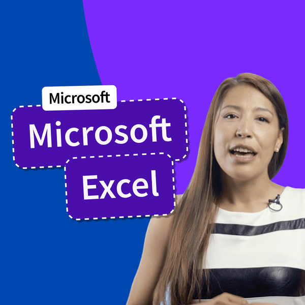 Microsoft Excel