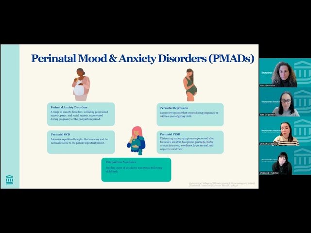 Understanding Mood and Anxiety Disorders in Pregnancy, Postpartum and Beyond