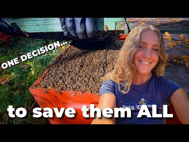 Top 5 Fall Beekeeping Mistakes That Can Kill Your Bees