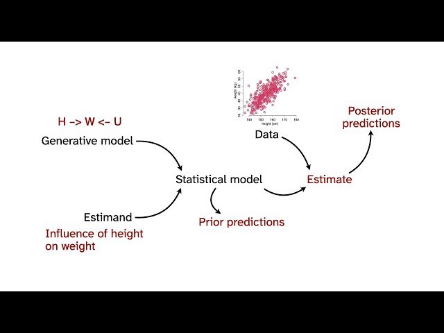 Statistical Rethinking 2026 - Categories and Causes - Lecture A04
