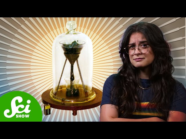 The 500-Year-Long Experiment