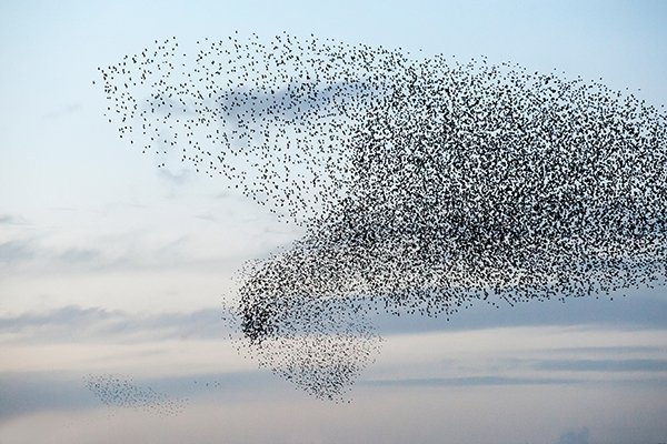 Introduzione all'analisi multivariata dei dati