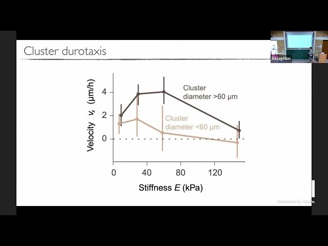 Durotaxis and Frictiotaxis in Living Matter