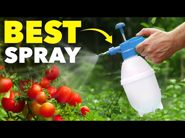 This ONE Spray is Every Smart Gardener's Secret Weapon