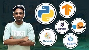 Data Science Career Path: 100 Days of Data Science Bootcamp