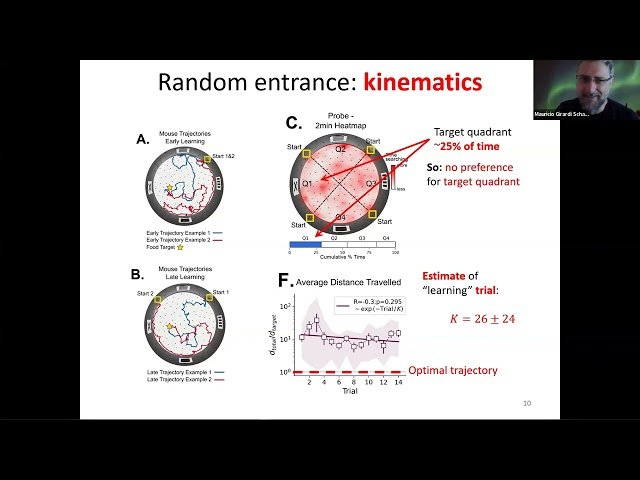 Active Matter, Active Solids, and Cell Migration - Epithelium-Mesenchymal Transitions Embrace Them All