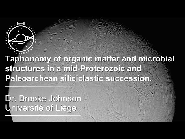 Taphonomy of Organic Matter and Microbial Structures in Mid-Proterozoic and Paleoarchean Siliciclastic Succession