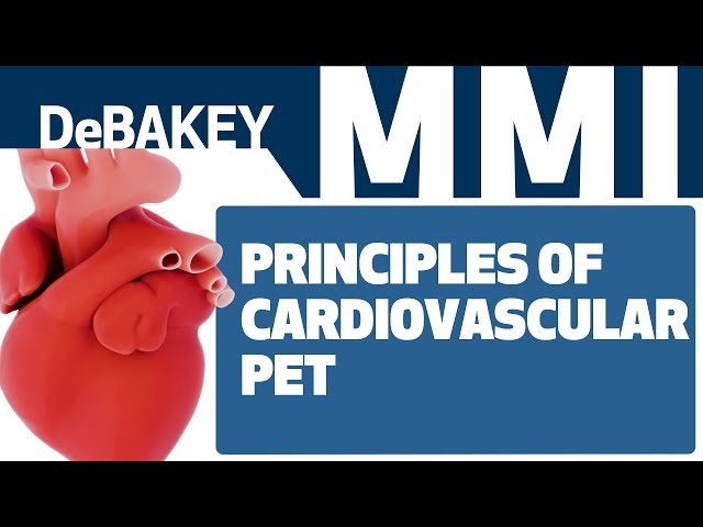 Principles of Cardiovascular PET