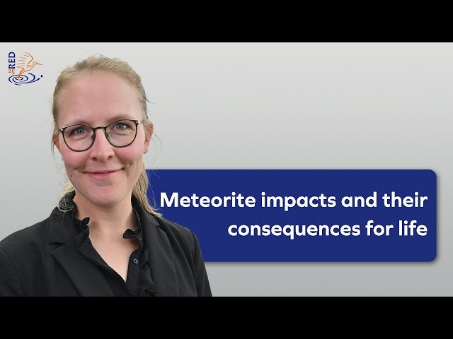 Meteorite Impacts and Their Consequences for Life