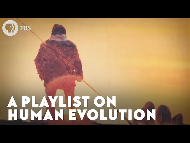 Human Evolution - Learning Playlist