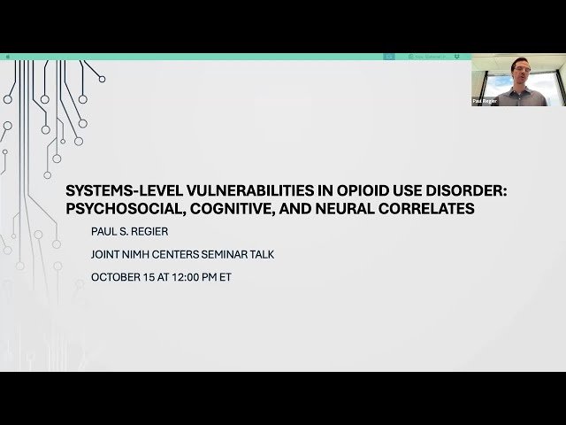 Systems-Level Vulnerabilities in Opioid Use Disorder - Psychosocial, Cognitive, and Neural Correlates
