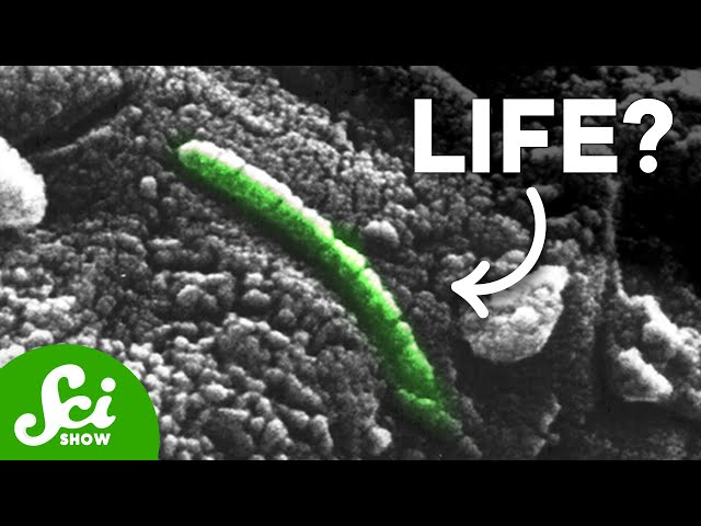 NASA's Most Controversial Rock - The Story of Meteorite ALH84001