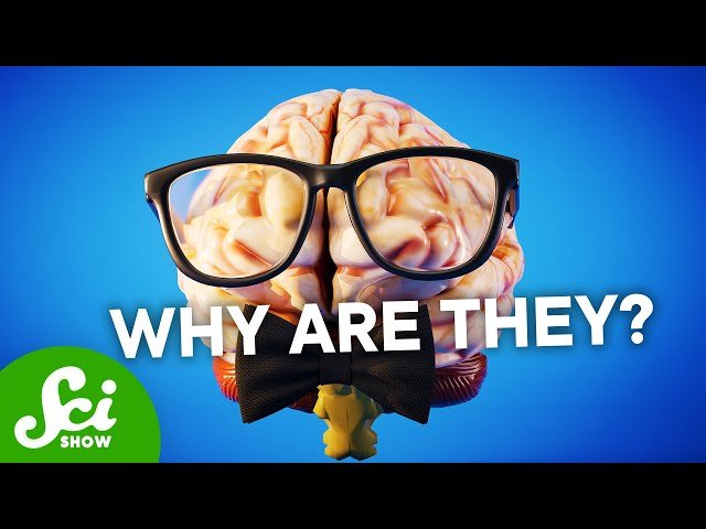 Our Brains Shouldn't Be So Big