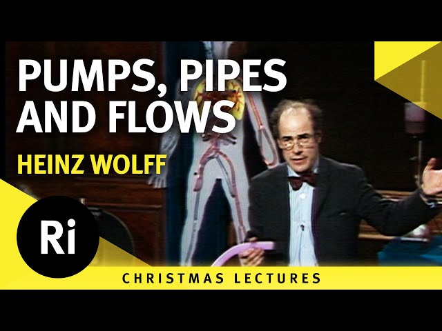 Pumps, Pipes and Flows - Lecture 2
