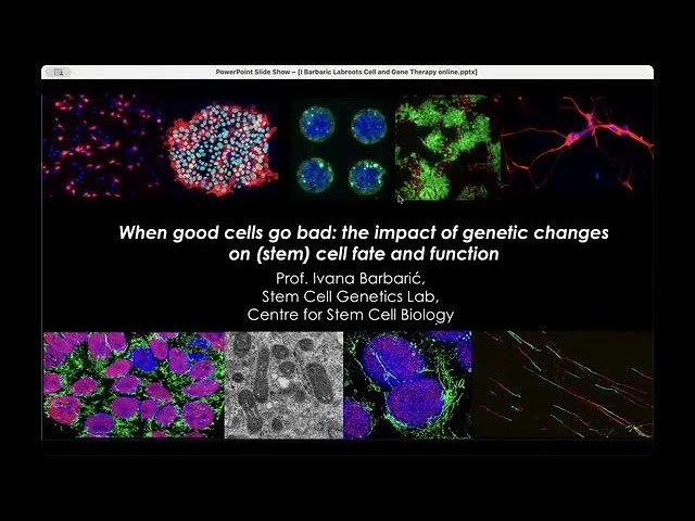 When Good Cells Go Bad - Causes and Consequences of Aneuploidy in Human Pluripotent Stem Cells
